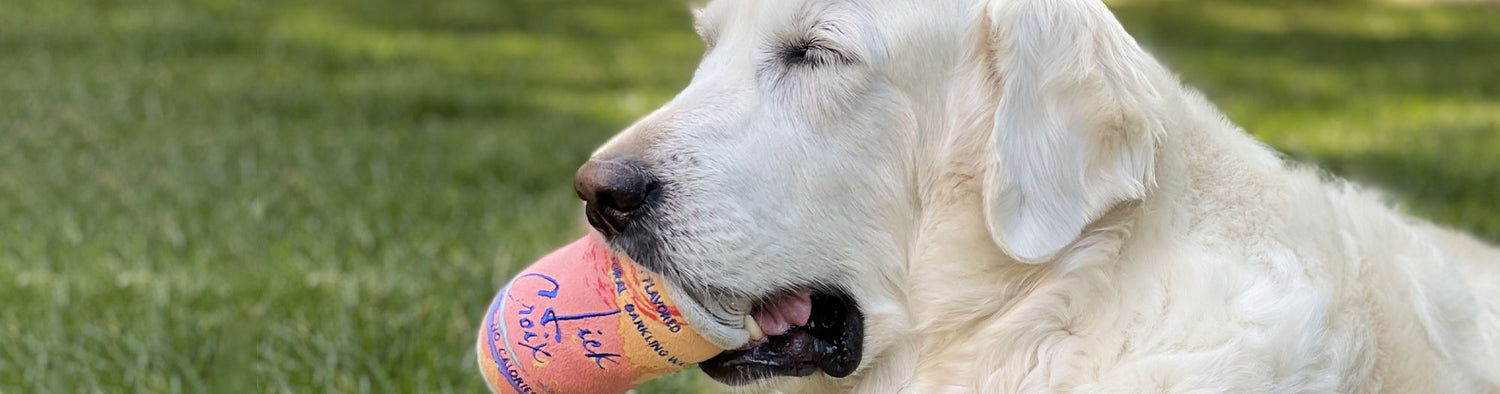 FOR POOCH