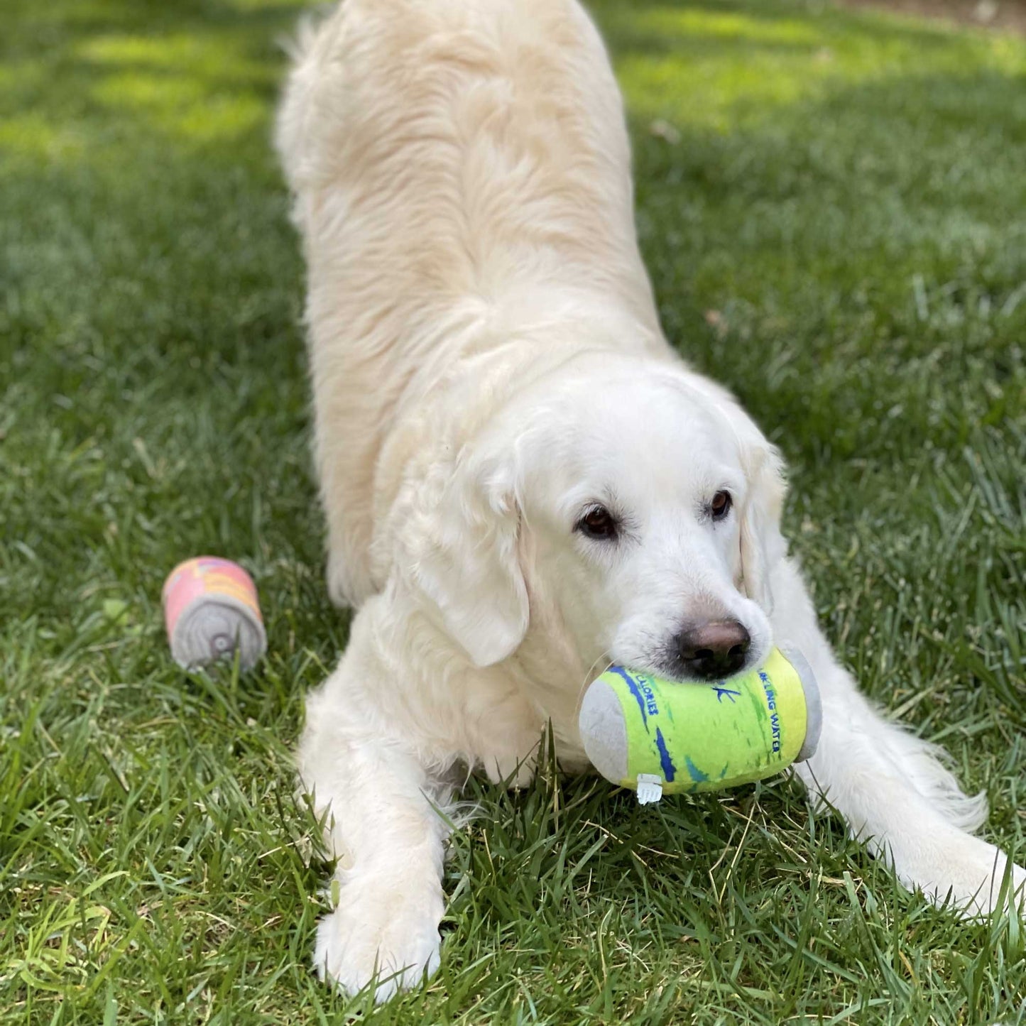 LickCroix Barkling Water Dog Toy