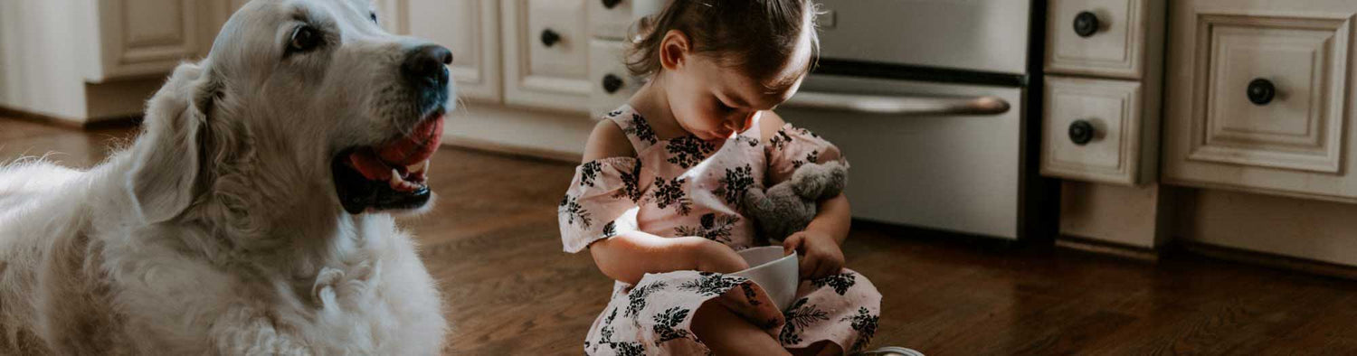 BABY + POOCH - SOUTH HOUS.