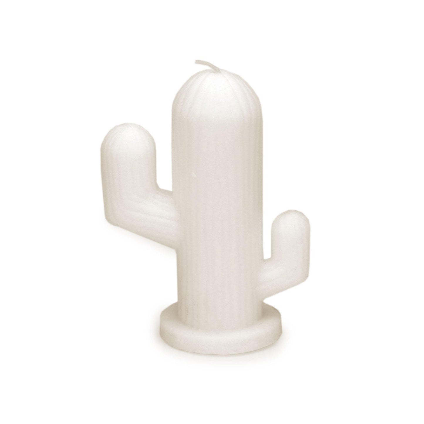 SOUTH HOUS emoji candle could be a candle could be a new friend